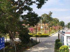-仙岳公园