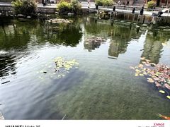 -晋江五店市传统文化旅游区