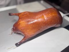 -阿庄新豫菜(航海东路店)