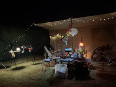 -春花秋色城市公园