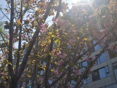 -英伦风情酒店(优博国际店)