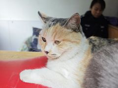 -李叔同故居纪念馆
