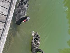 -千岛湖东南湖区