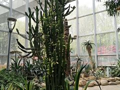 -郑州植物园