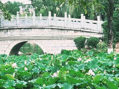 -莲湖公园
