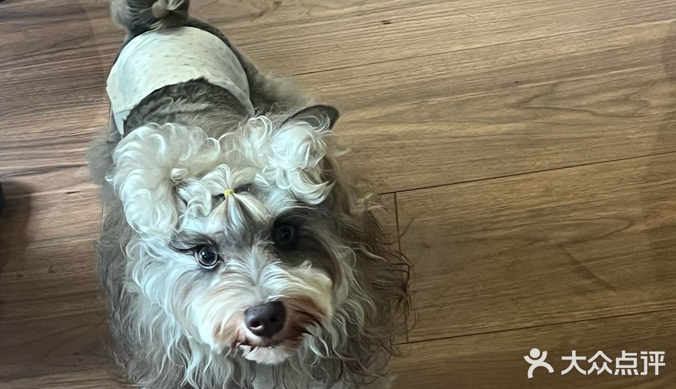 没人觉得杭州新开的nonoooo的冰沙