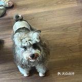 没人觉得杭州新开的nonoooo的冰沙