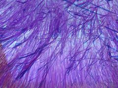 -交通银行前滩31演艺中心