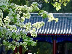 -天坛公园