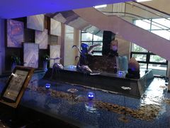 -鸿腾国际大酒店-海鲜姿造海鲜烤肉自助餐