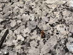 -阪尚皇·原切牛排·烤肉火锅自助(北京路店)