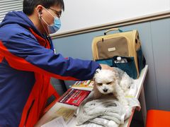 -伟伟宠物医院·CT影像中心·瑞派犬猫综合性门诊(汉口总院)