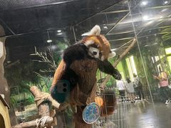-海合安武汉极地海洋公园