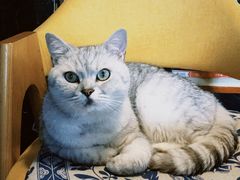 -不舍昼夜咖啡馆
