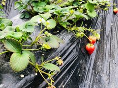 -兴芮温泉度假区