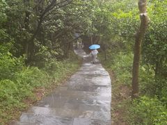 -梧桐山风景名胜区