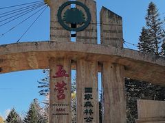 -五营国家森林公园