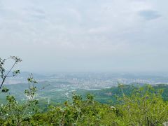 -定都阁