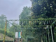 -敬亭山风景名胜区