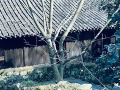 -法云安缦酒店