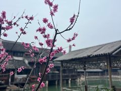 -乌镇东栅景区