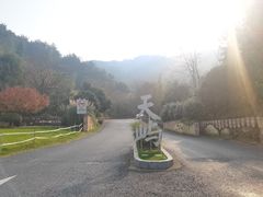 -千岛湖天屿景区
