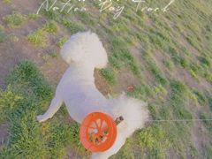 -渭河城市绿地运动公园