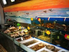 水产区-77号·蒸海鲜青岛菜(积米崖店)