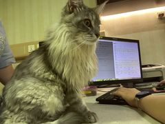 -宠爱国际维尼动物医院·疑难骨科·神经外科·肿瘤科(丰潭路店)