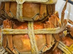 -杨氏青龙虾·羊蝎子(珠江路店)