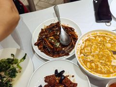 -新吉士·上海菜(浦东LCM置汇旭辉店)