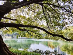 -晓港公园