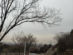 -北京凤凰岭