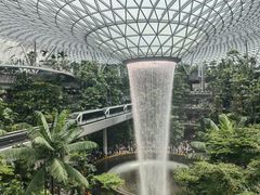 -樟宜机场皇冠假日酒店 （SG Clean） - IHG 旗下酒店