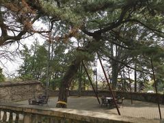 -北京鹫峰国家森林公园