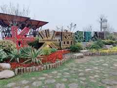 -上海长兴岛郊野公园