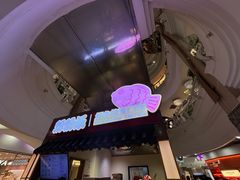 -粉粉乐鲷鱼烧(美罗城店)