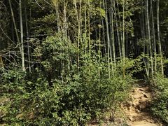 -九龙潭景区