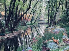 -上海共青森林公园