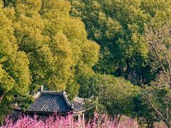 -无锡梅园公园
