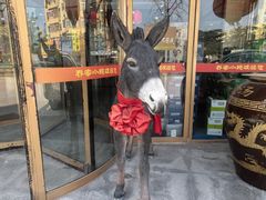 -乔家小院•本地小海鲜•非遗驴肉(万年泉路店)