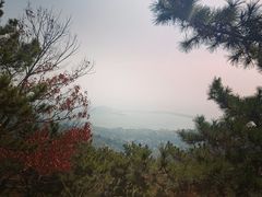 -石老人观光园