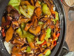 -蘑界·野生菌火锅(深业上城店)