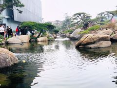 -罗红摄影艺术馆