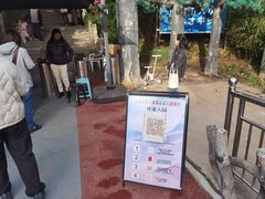 -王顺山国家森林公园