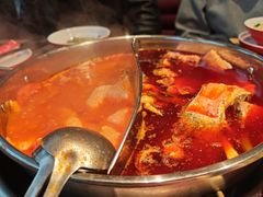 -蜀滋香鲜鱼美蛙火锅(339店)
