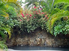 -厦门日月谷温泉渡假村