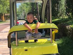 -武清南湖绿博园