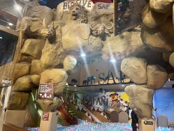 -卡通尼·Safari非洲探索乐园·生日会(金桥国际商业广场店)