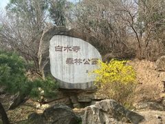-白水寺森林公园
